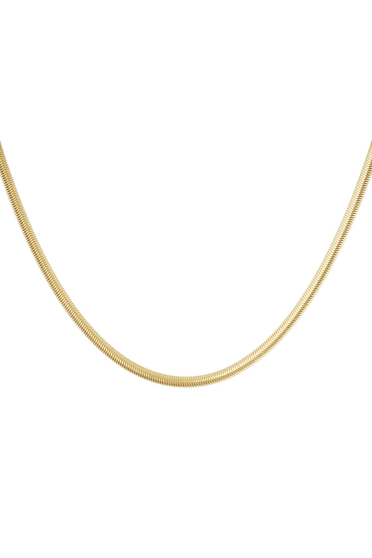 Flat collar with print - gold - 4.0mm